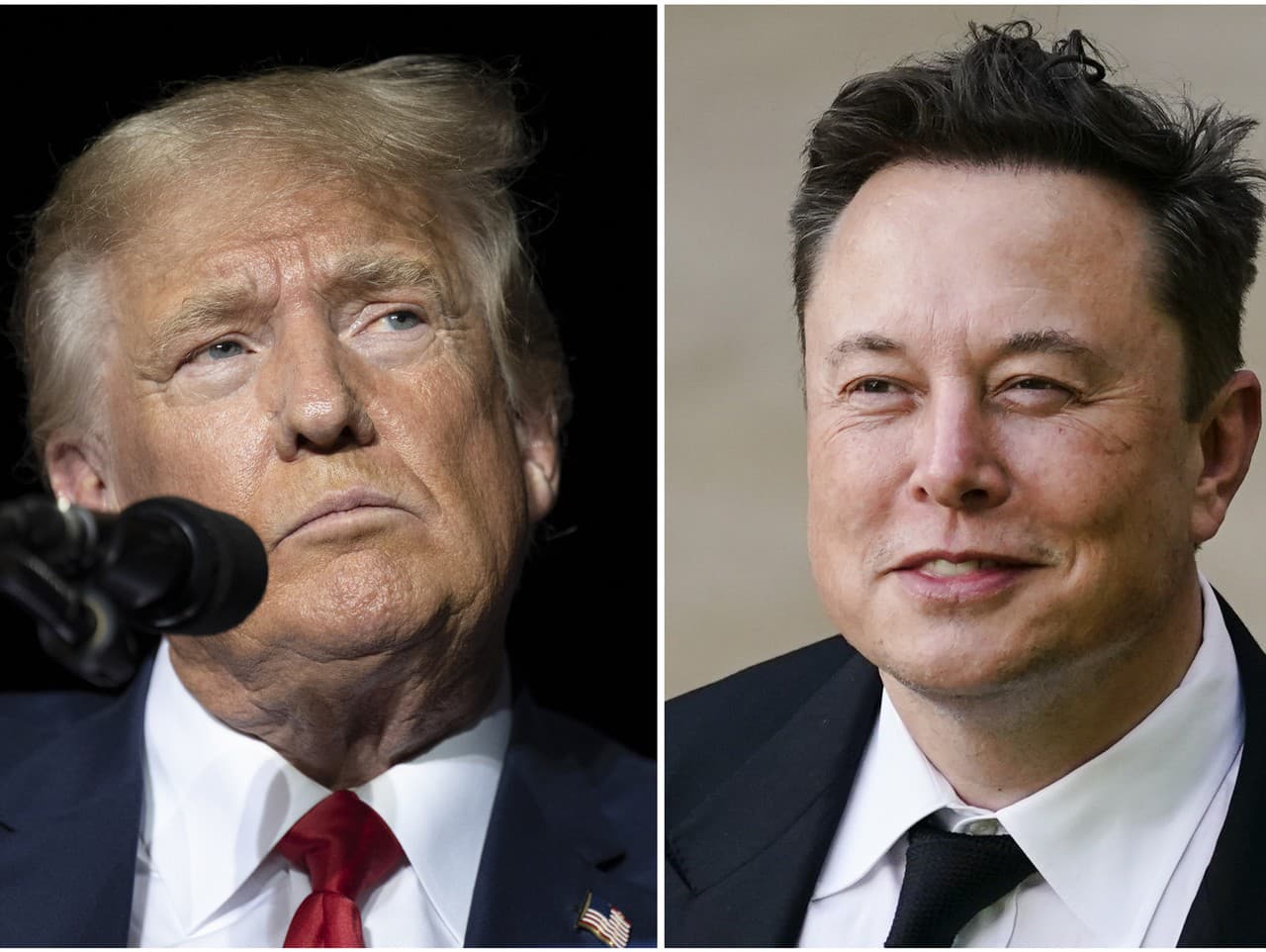 Donald Trump a Elon Musk