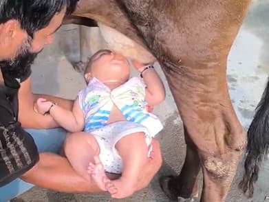 Na sociálnych sieťach sa šíri šokujúce video muža, ktorý dáva svojmu dieťaťu piť surové mlieko priamo od kravy