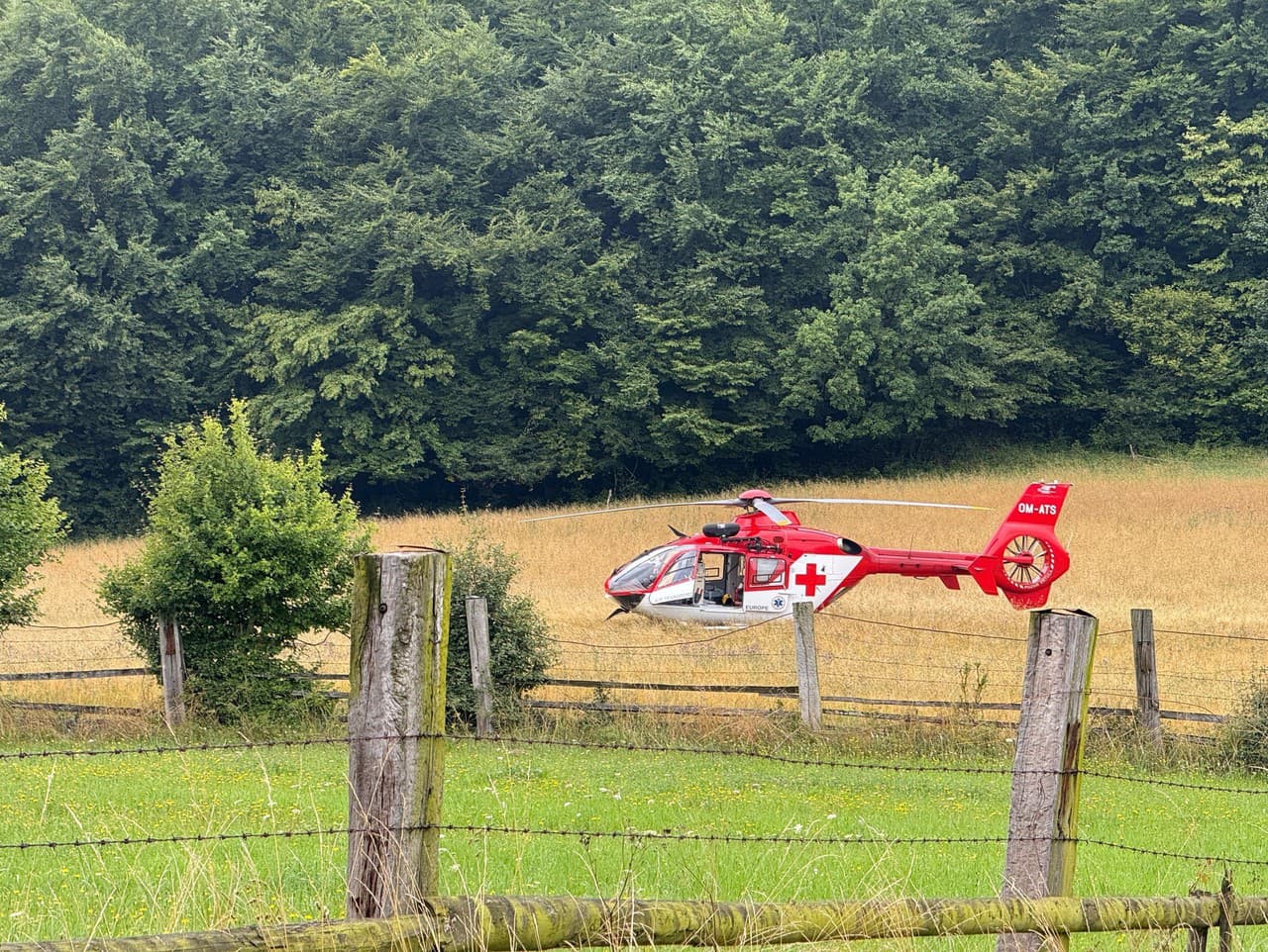 Ilustračný obrázok