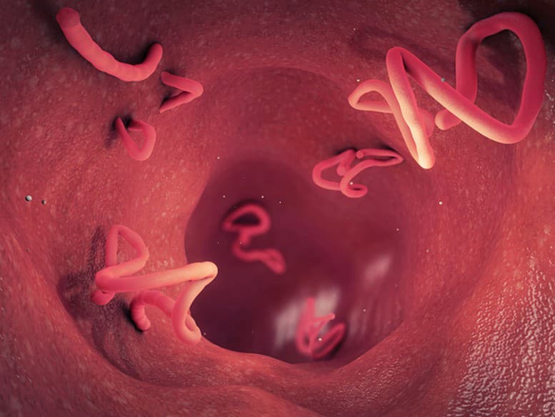 Ilustračný obrázok