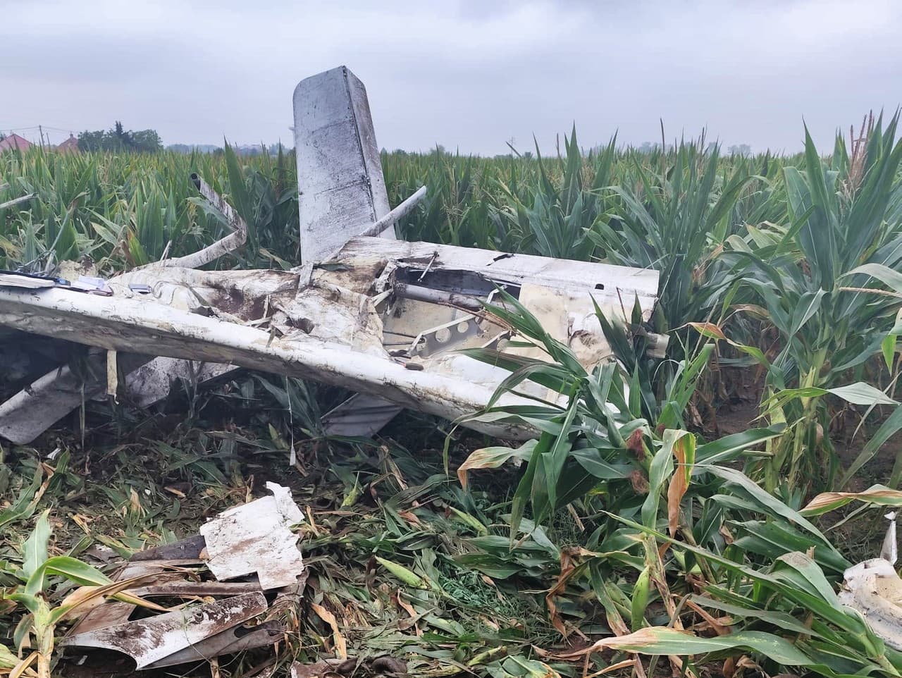 Ilustračný obrázok