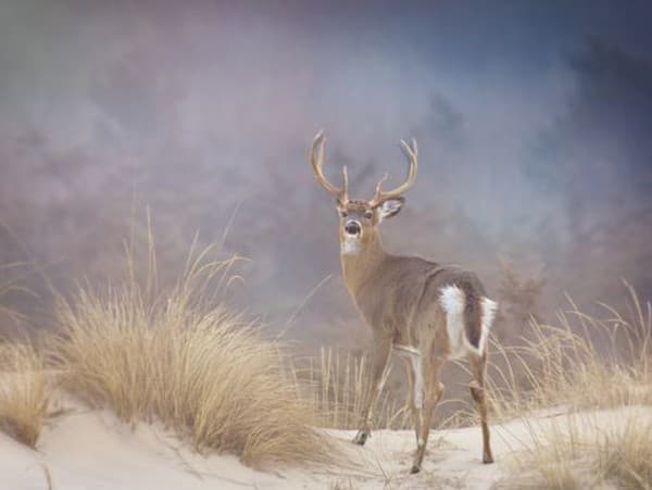 Ilustračný obrázok