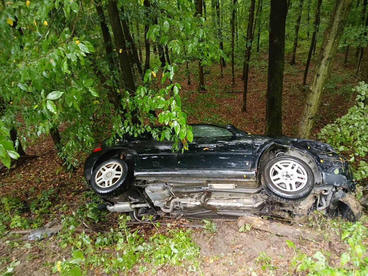 Ilustračný obrázok