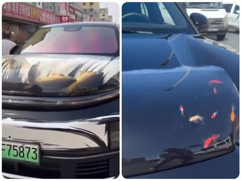 Kapoty áut sa v Číne menia na akváriá