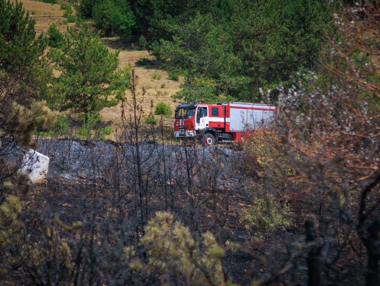 Ilustračný obrázok