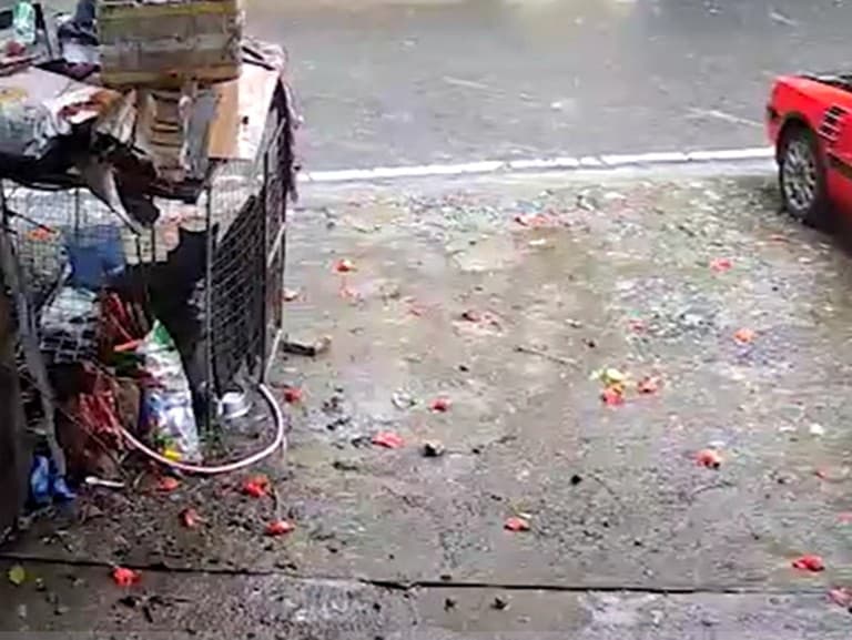 Pes unikol istej smrti v poslednej chvíli, zrejme ho zachránili inštinkty