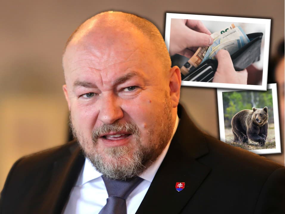 Huliakovi vyrubili pokutu za vypchatú medvedicu.