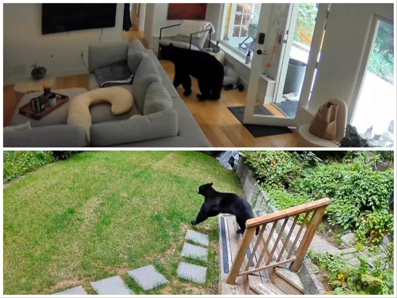 Ilustračný obrázok