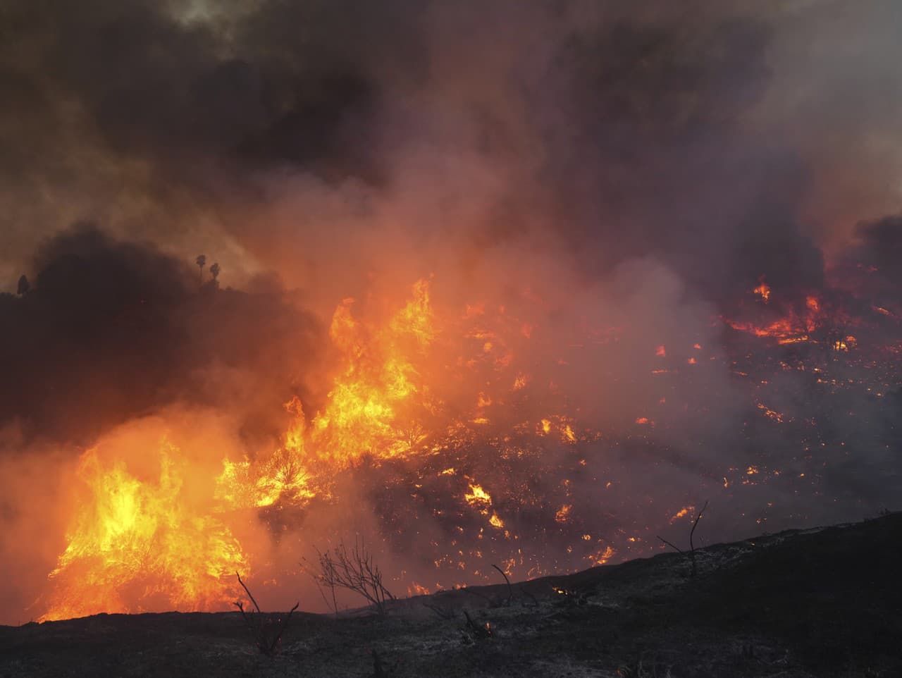 Ilustračný obrázok