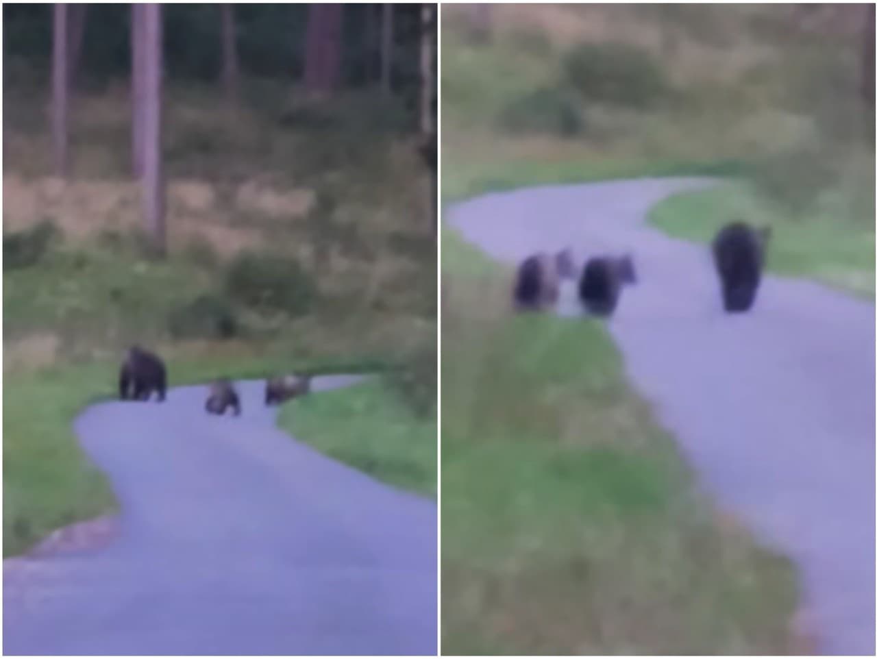 Ilustračný obrázok