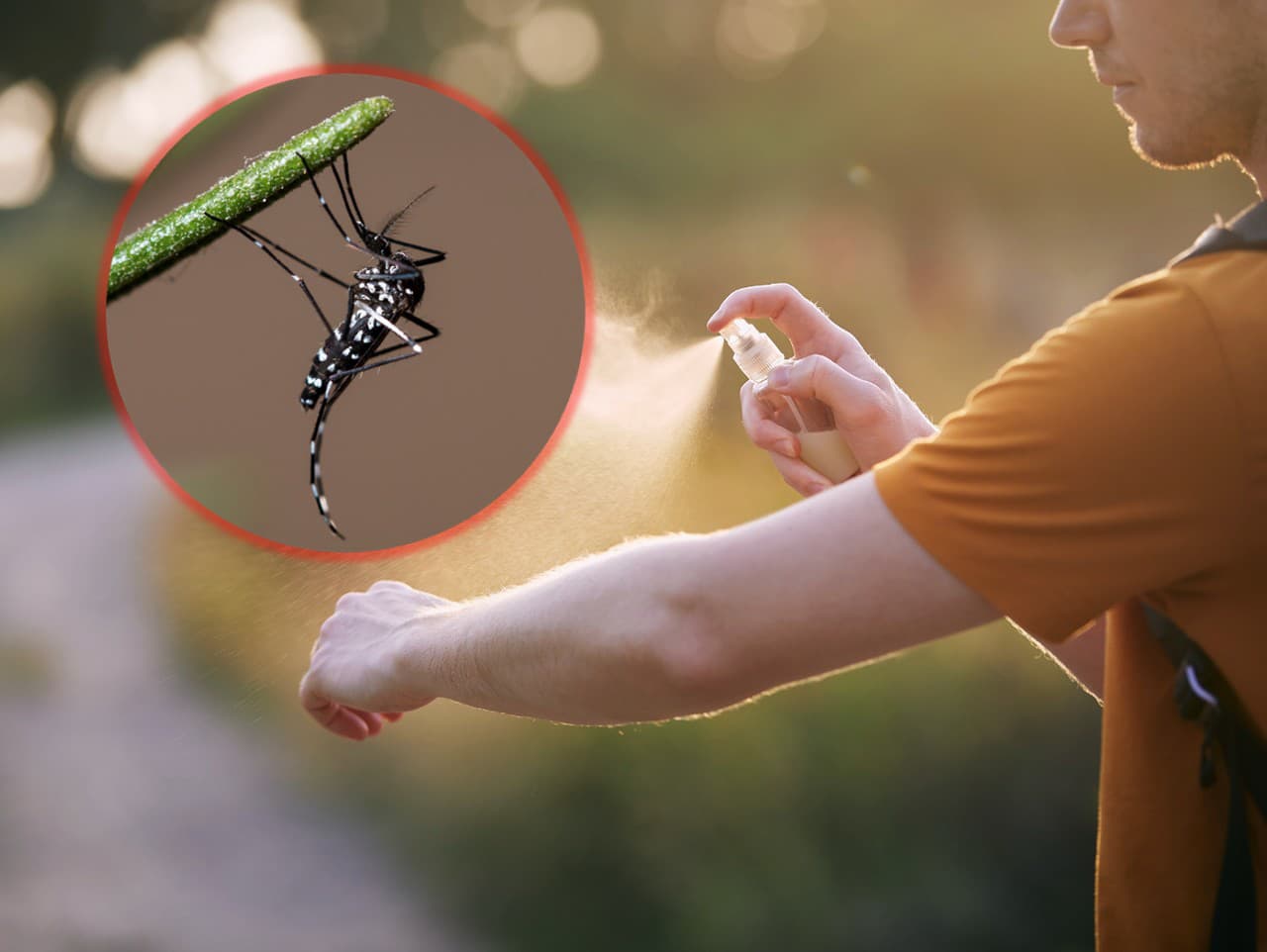 Ilustračný obrázok