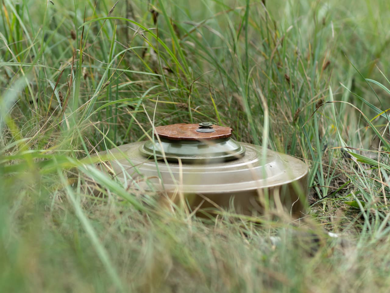 Ilustračný obrázok