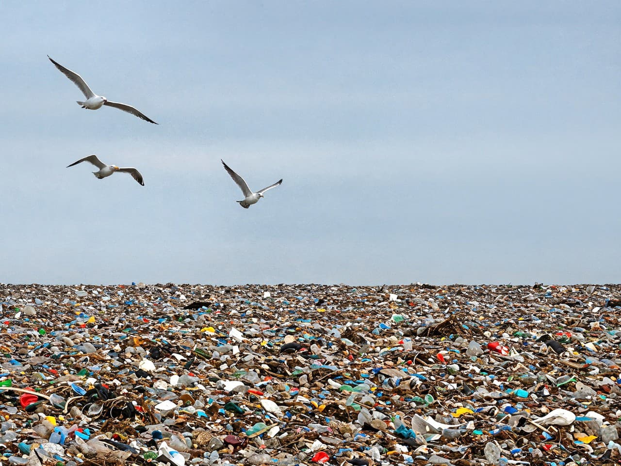 Ilustračný obrázok