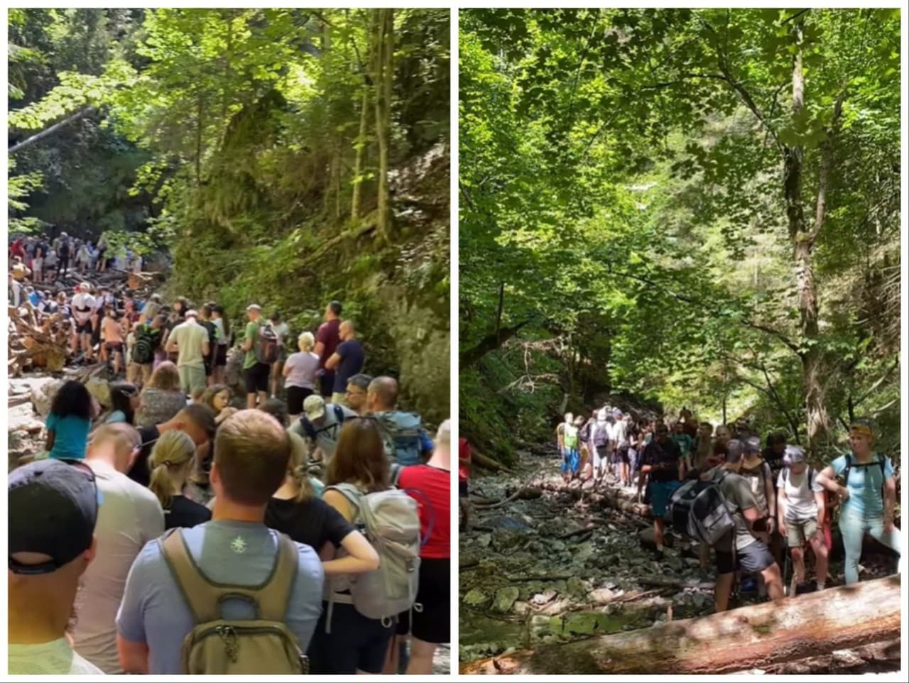 Ilustračný obrázok