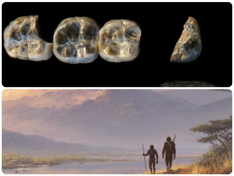 Archeológovia odhalili nový druh pravekého človeka, ktorý pred 2,8 milióna rokmi žil vedľa našich priamych predkov