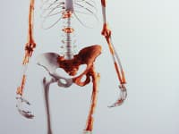 Ilustračný obrázok