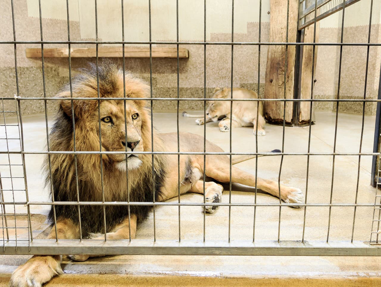 Ilustračný obrázok