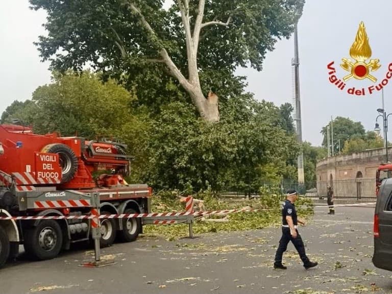 Slovenskú dodávku privalil spadnutý konár