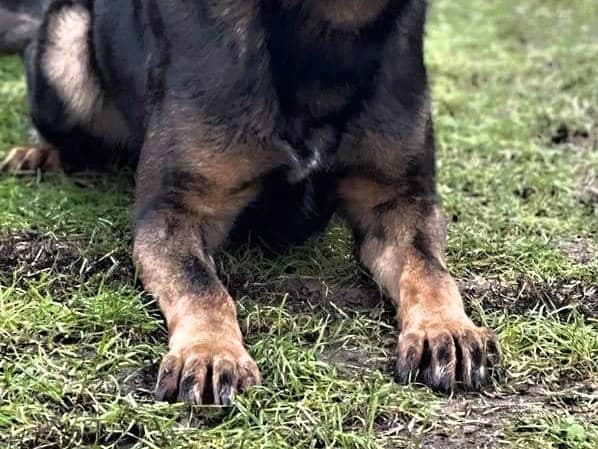 Ilustračný obrázok