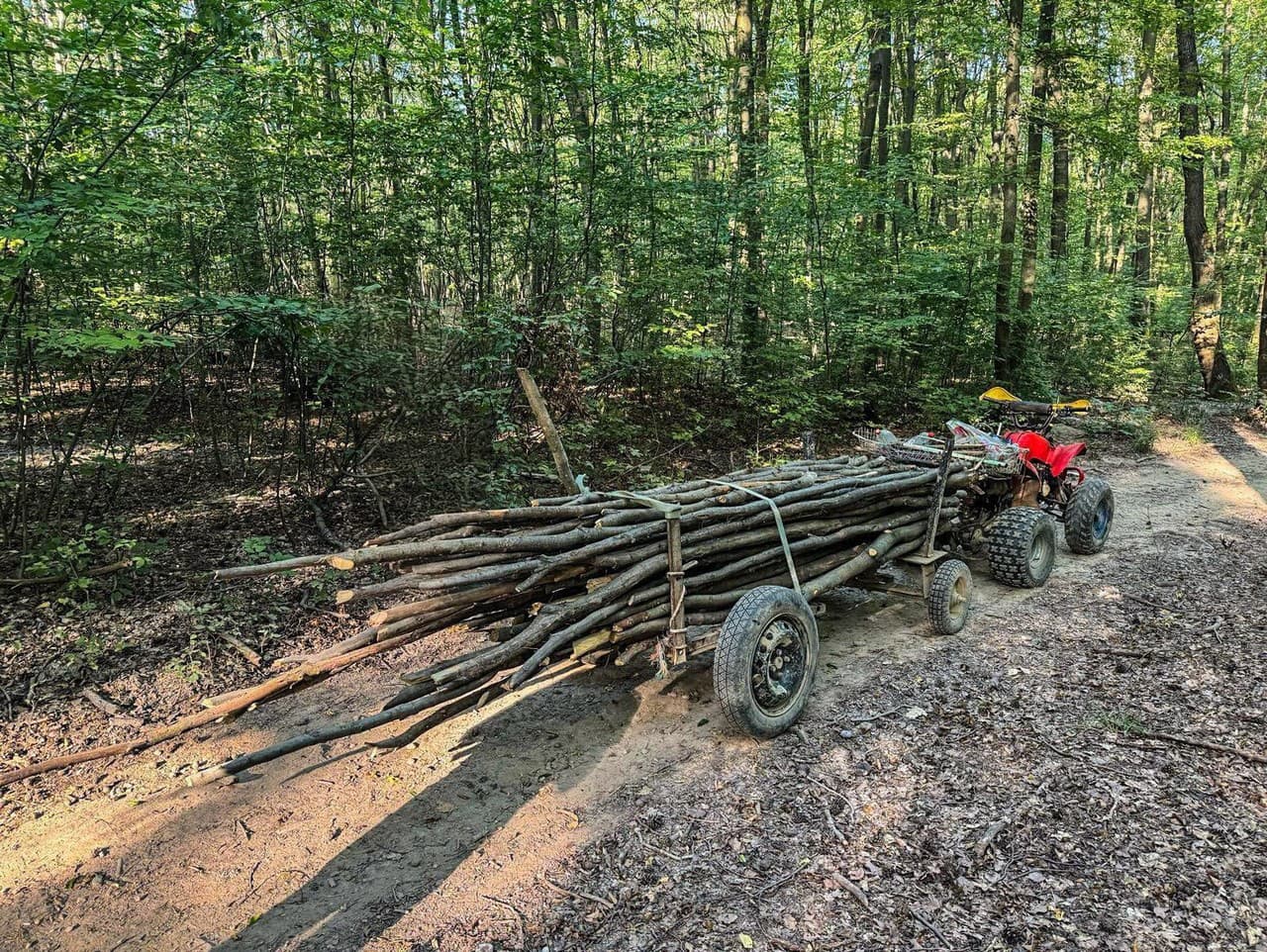krádež dreva v lese pri Košiciach