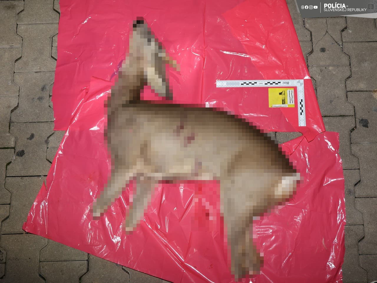 Ilustračný obrázok