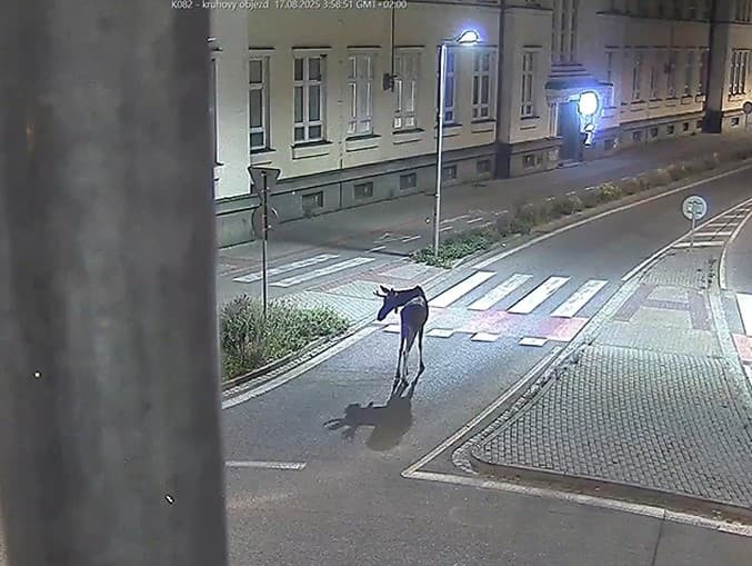 Ilustračný obrázok