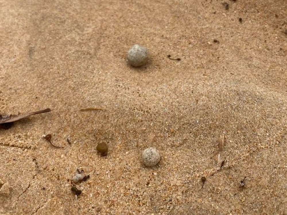 Ilustračný obrázok