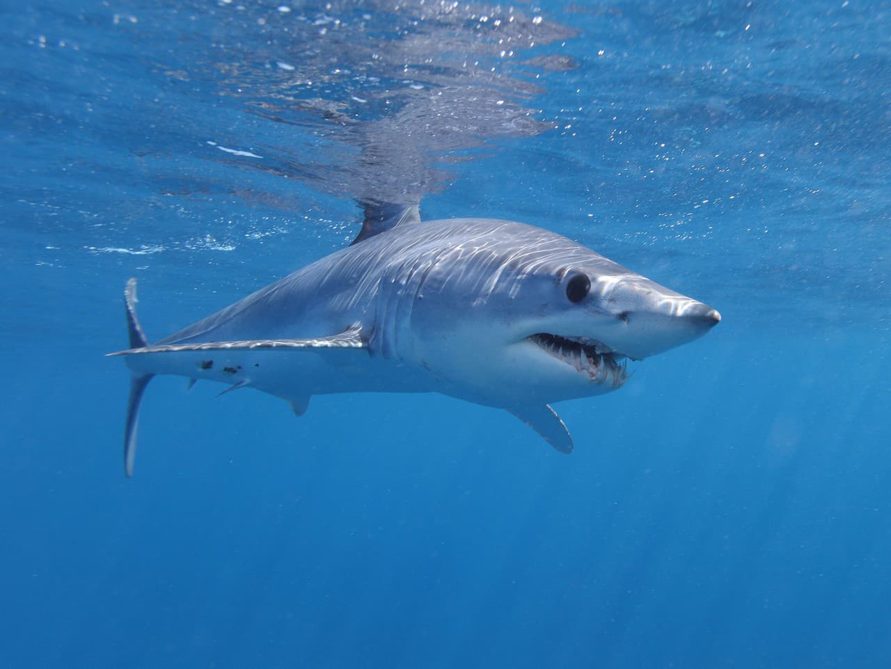 Ilustračný obrázok