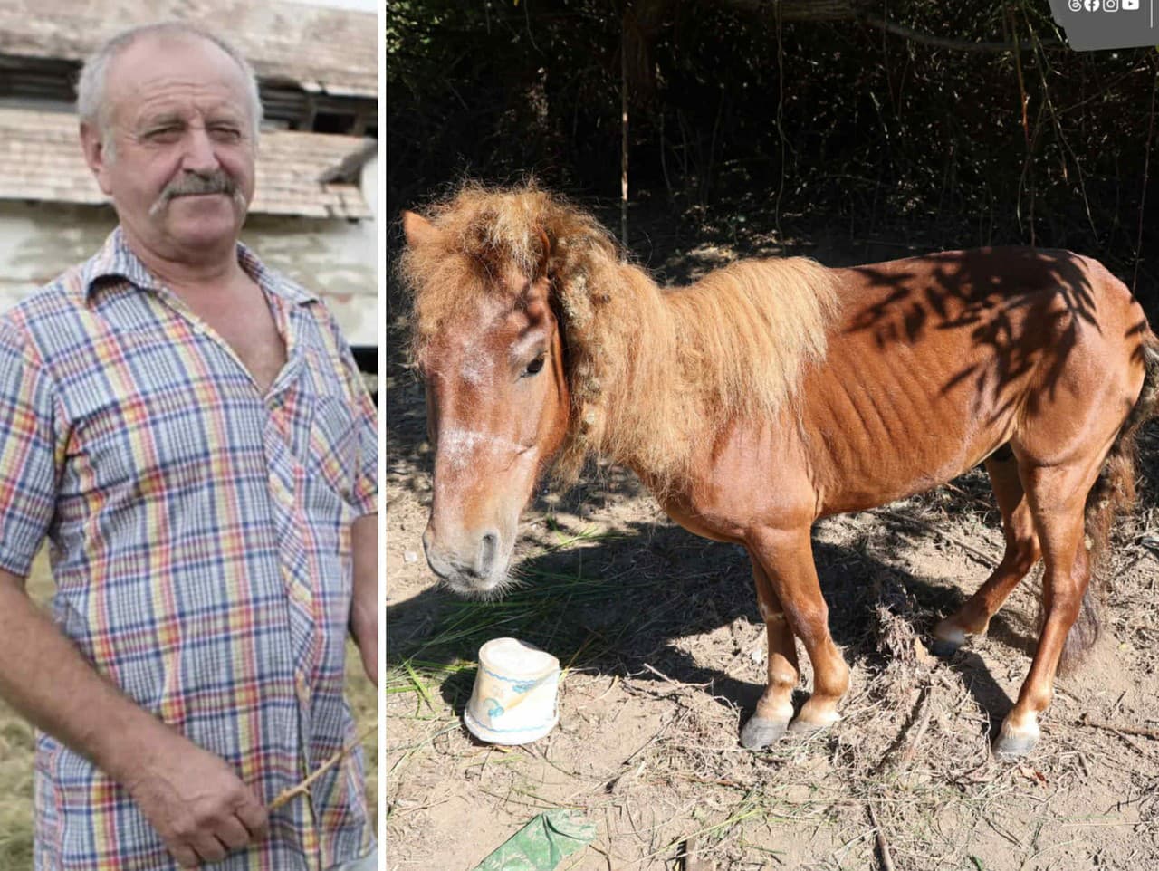 Ilustračný obrázok