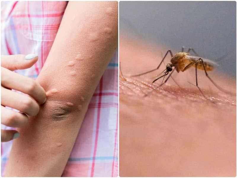 Ilustračný obrázok