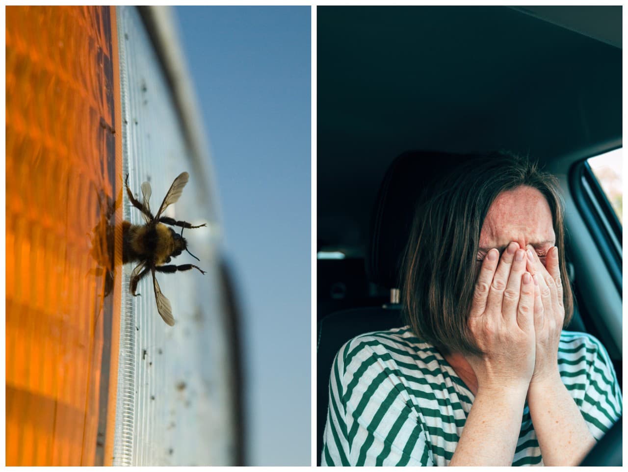 Vodičku poštípal čmeliak a potom nasledovala nehoda.