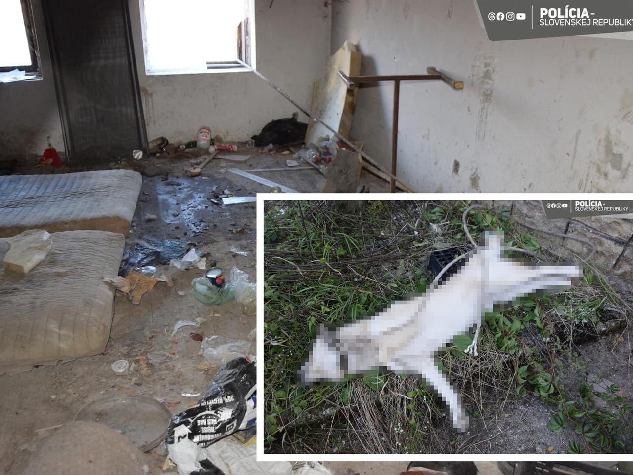 Ilustračný obrázok