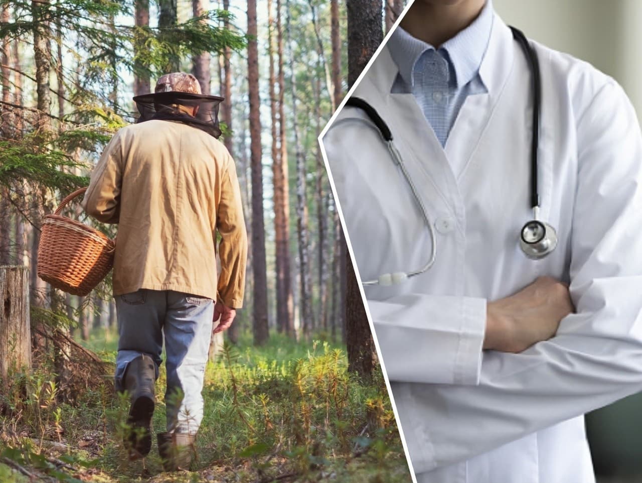 Ilustračný obrázok