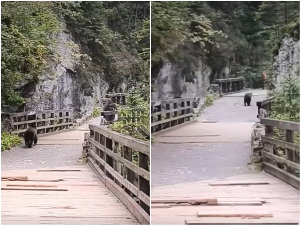 Ilustračný obrázok