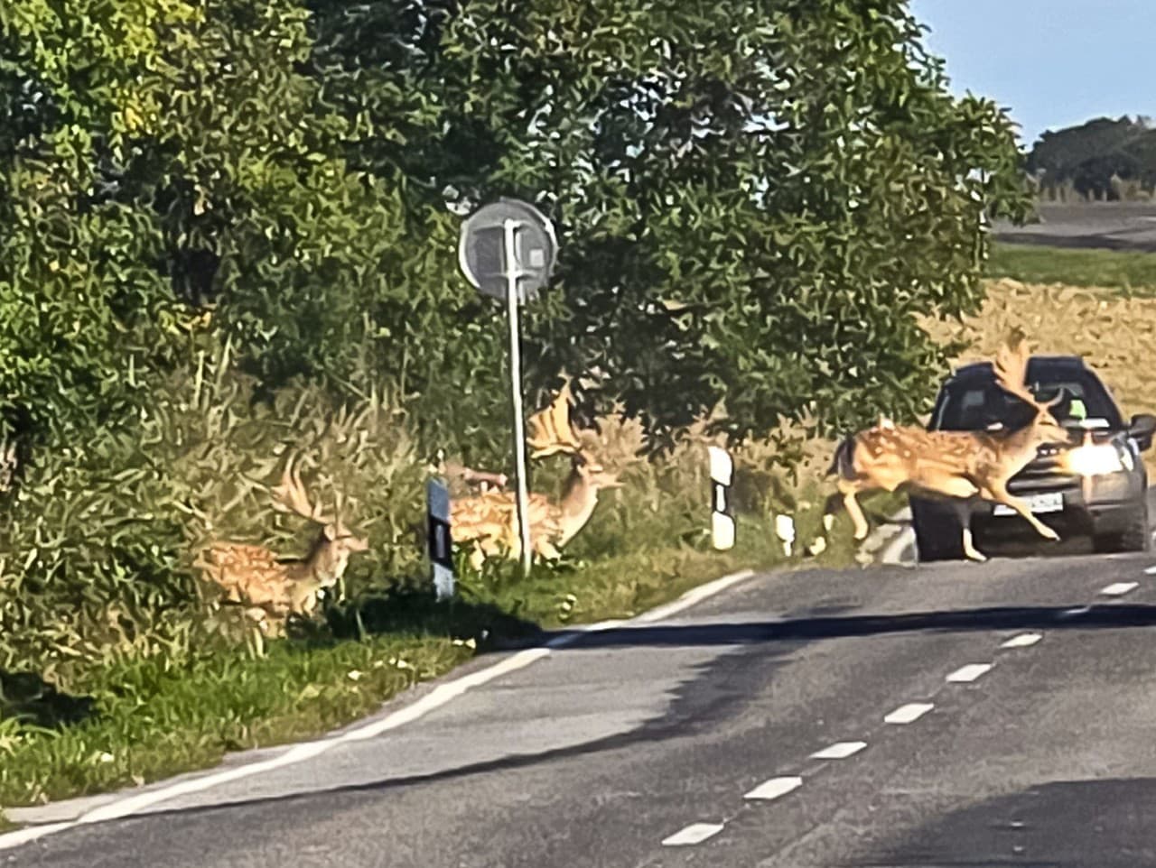 Ilustračný obrázok