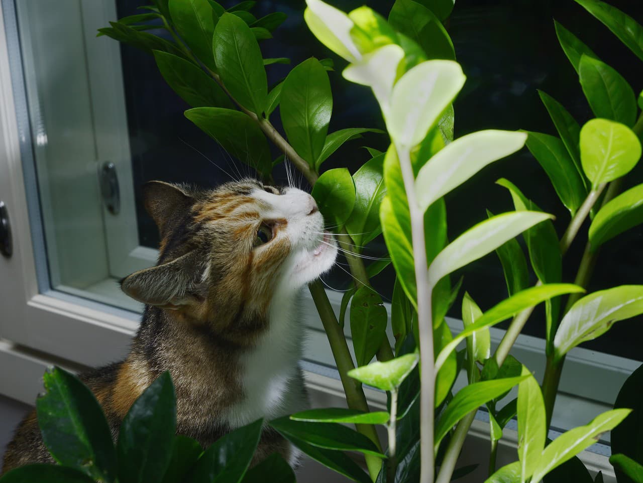 Ilustračný obrázok