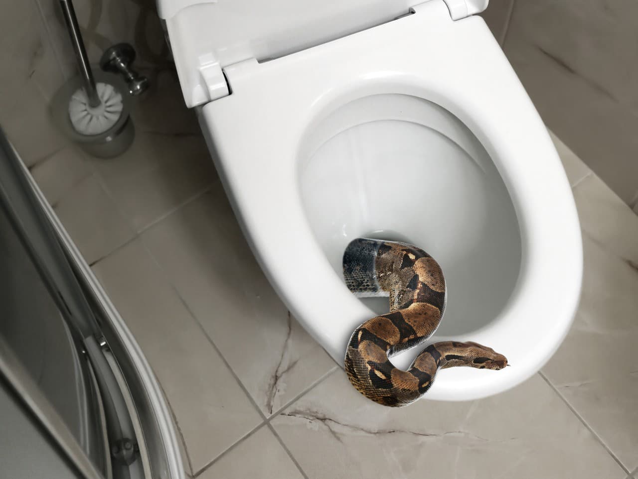 Ilustračný obrázok