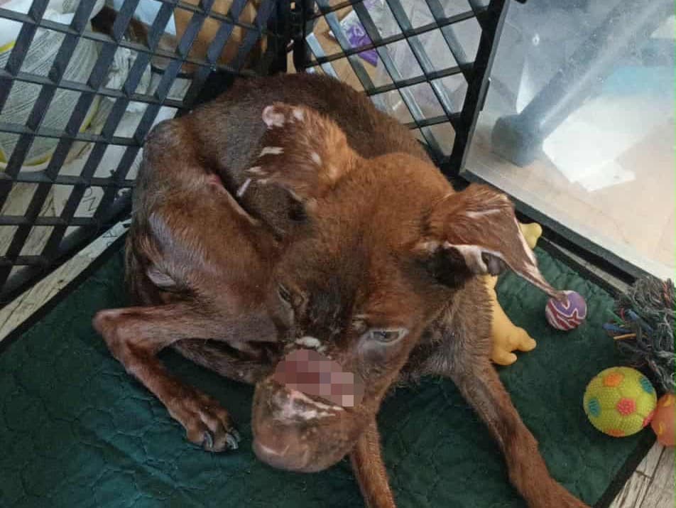 Ilustračný obrázok