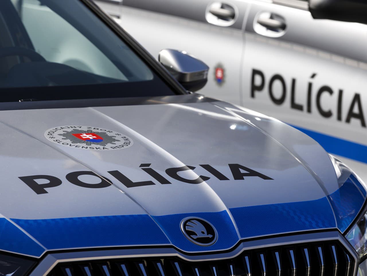 Ilustračný obrázok