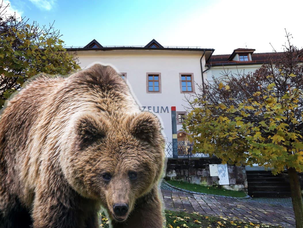 Ilustračný obrázok