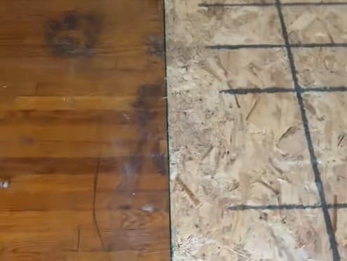 Hrôzostrašný objav pod kobercom.