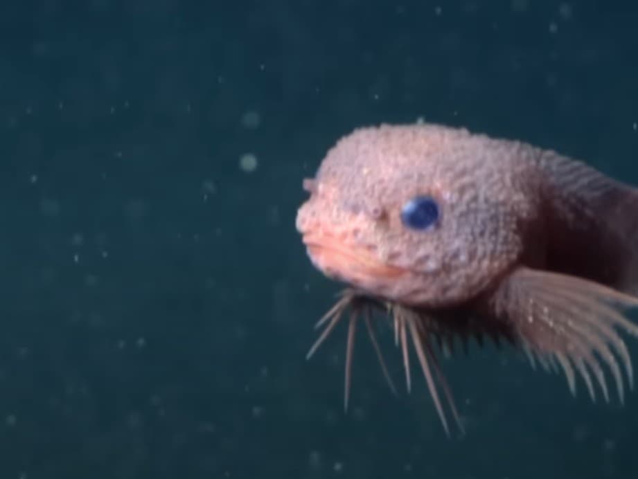 Ilustračný obrázok