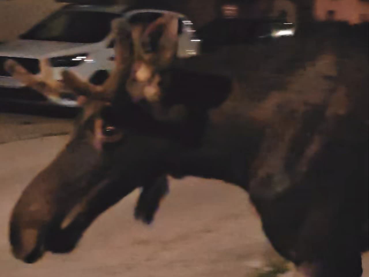 Ilustračný obrázok