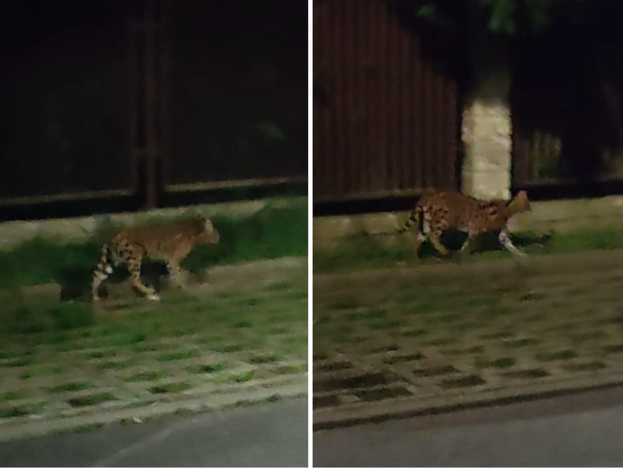 Ilustračný obrázok