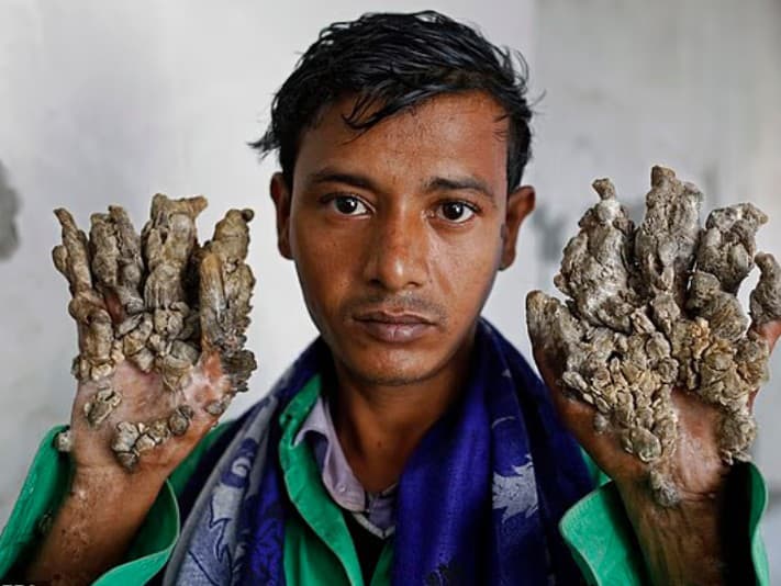 Ilustračný obrázok