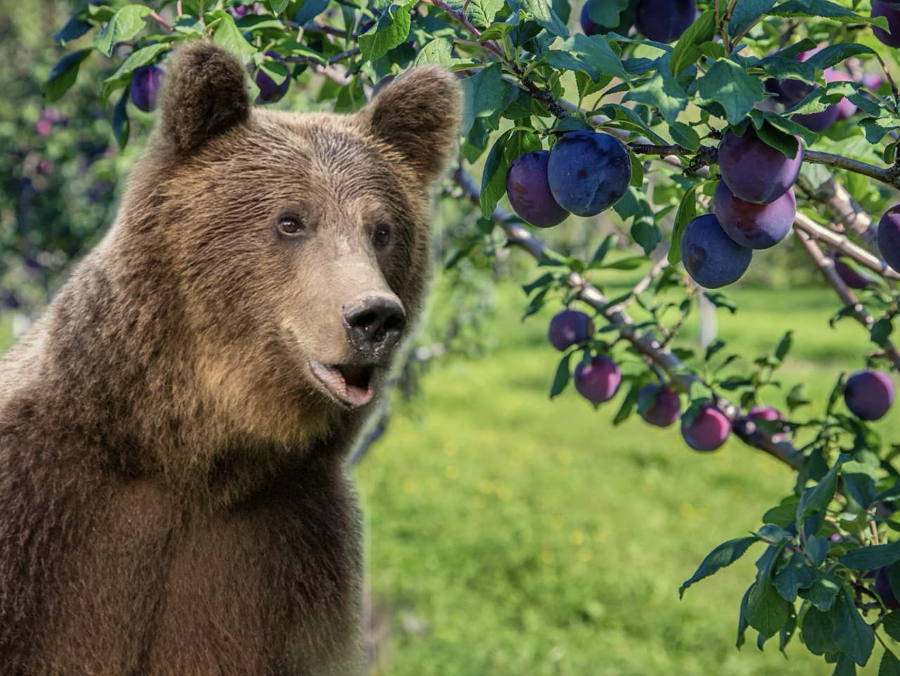 Ilustračný obrázok