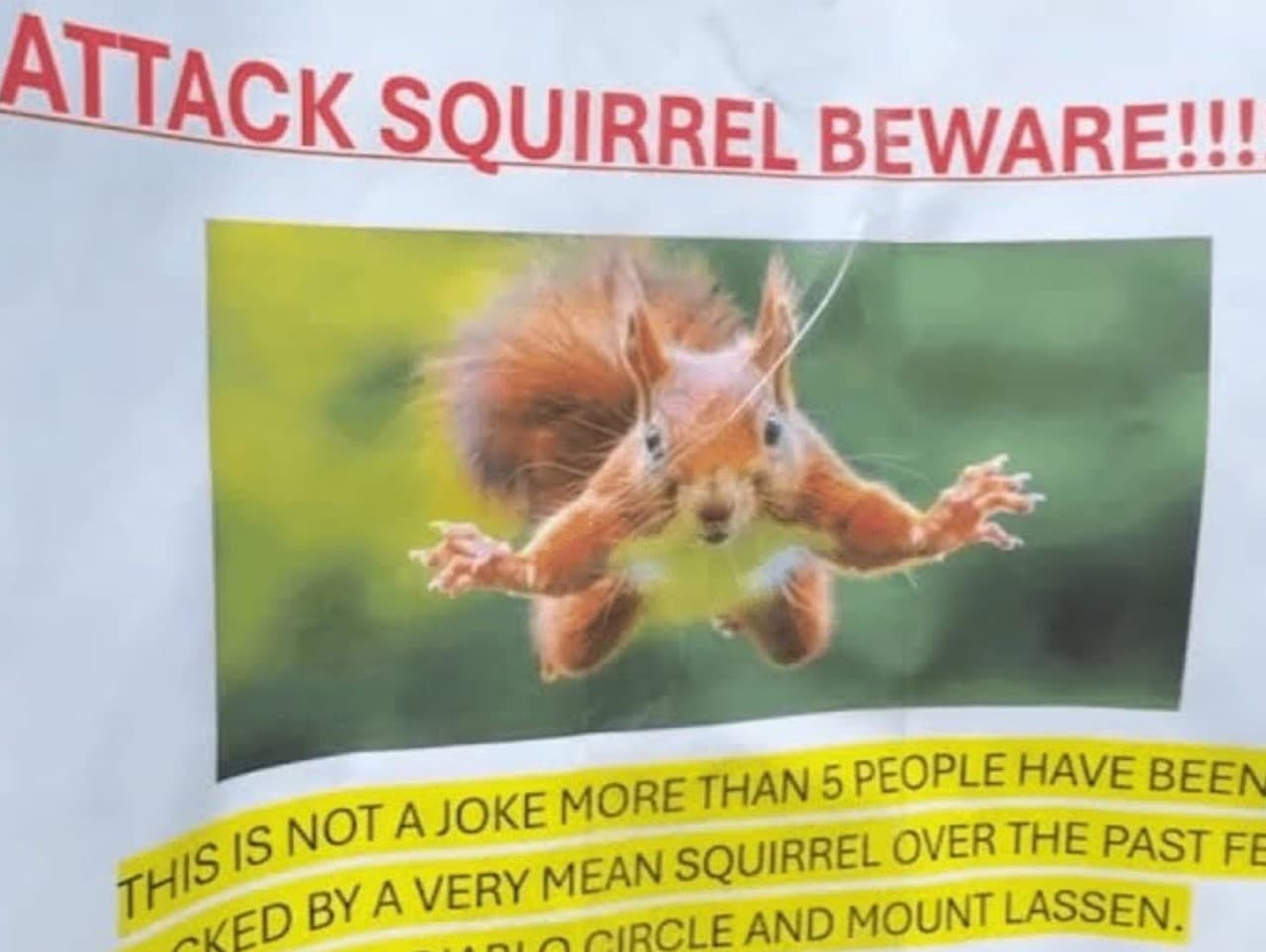 Plagát varujúci pred agresívnou veveričkou 