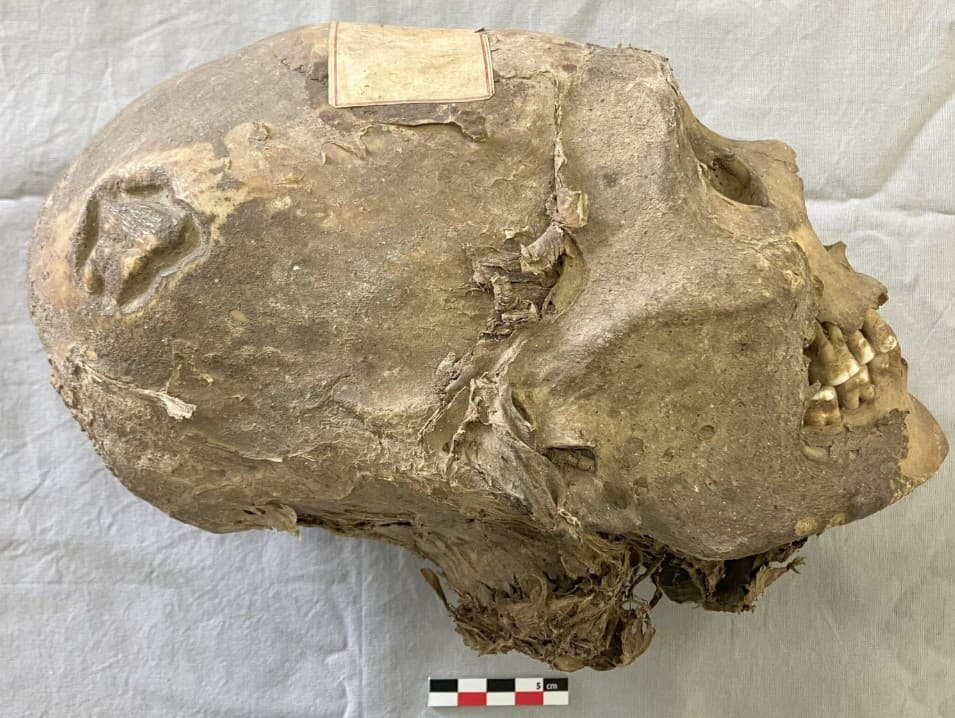 Švajčiarski vedci skúmali tajomnú lebku z Bolívie.