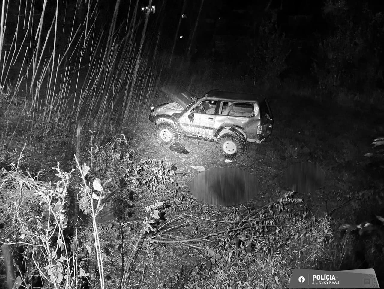 Vodič zišiel mimo cesty a s vozidlom sa prevrátil