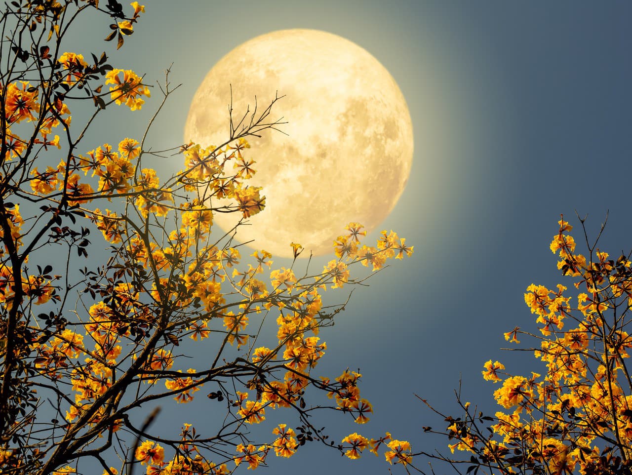 Ilustračný obrázok